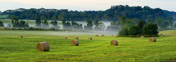 Foggy Morning on a Greene County Farm, VA